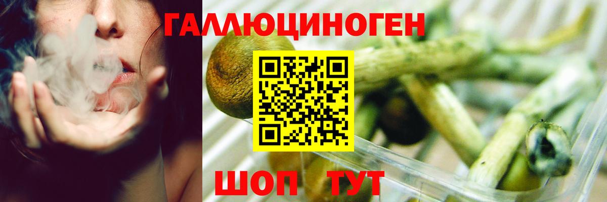 Псилоцибиновые грибы GOLDEN TEACHER Выкса